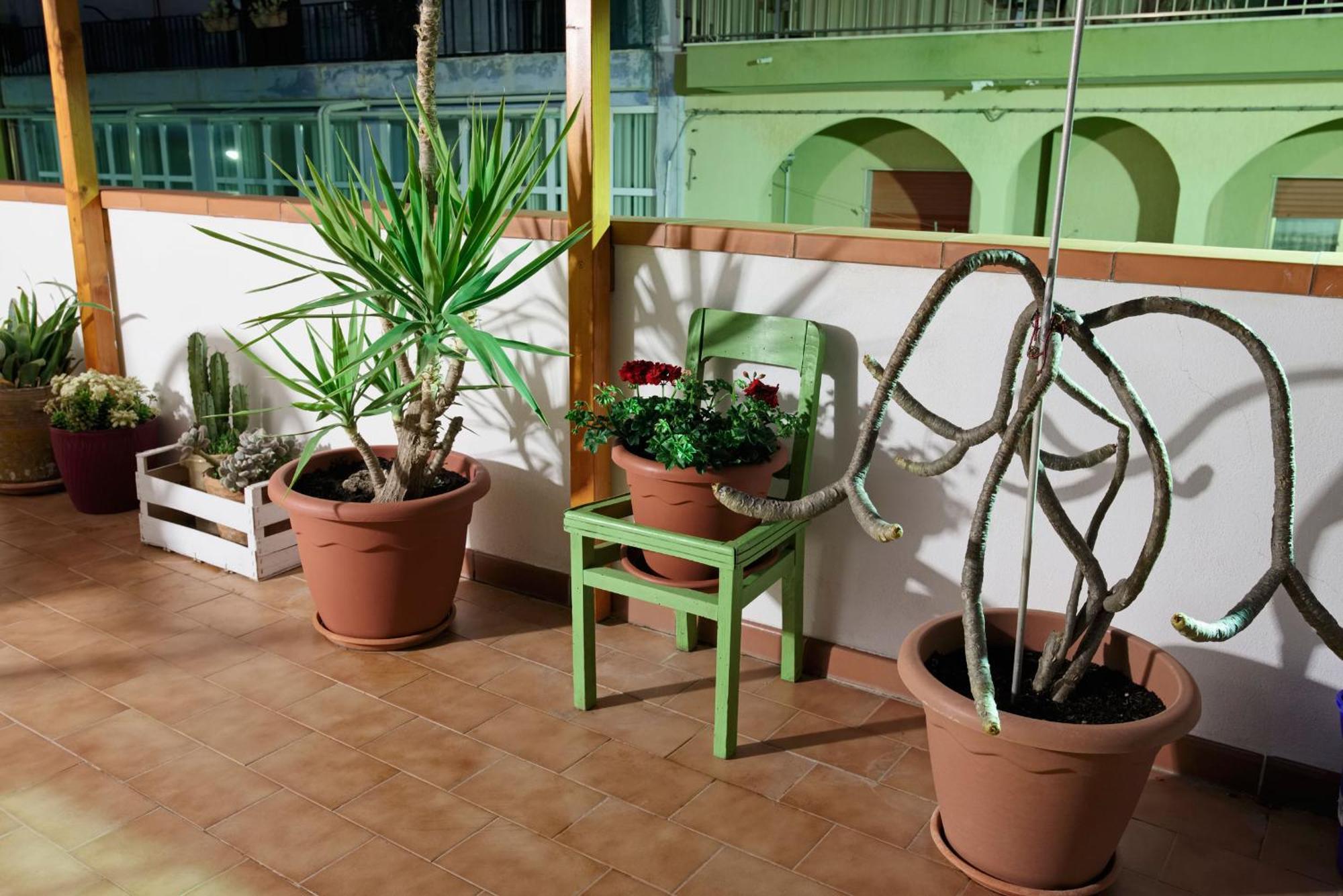 Le Terrazze Di Angela Apartment Marina di Ragusa Ngoại thất bức ảnh